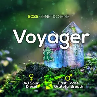 Voyager