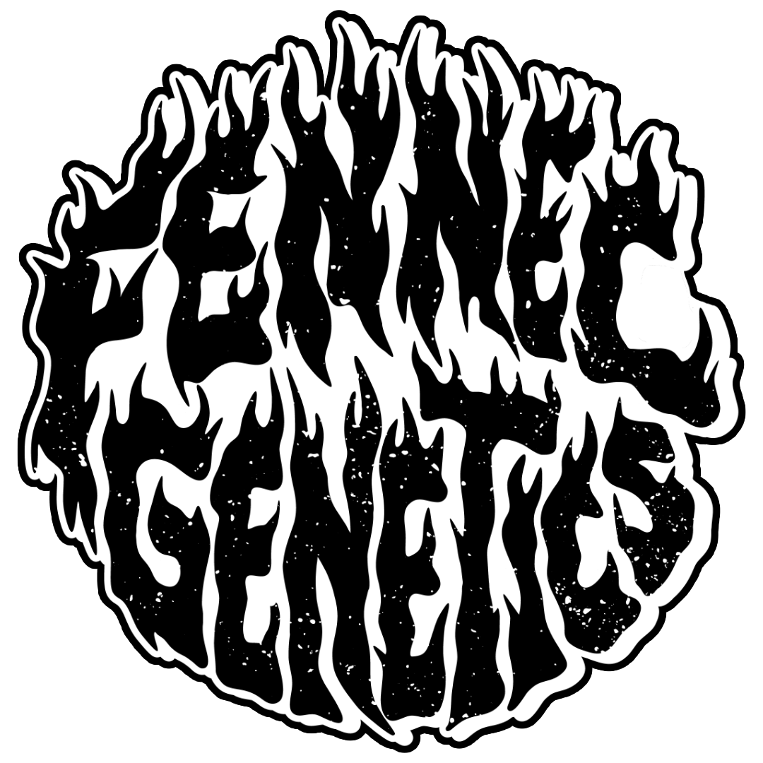 Fennec Genetics Tokyo Roast Goose Seeds