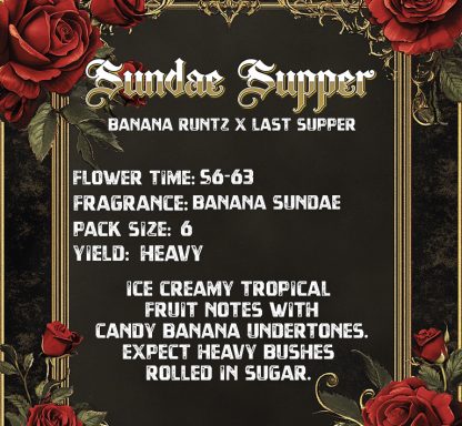 SUNDAE SUPPER (FEMS) - Image 2