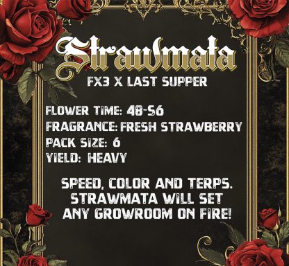 STRAWMATA (FEMS) - Image 2