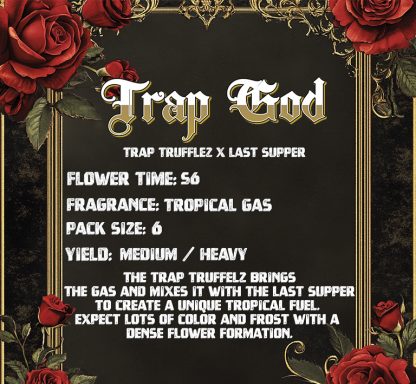 TRAP GOD (FEMS) - Image 2