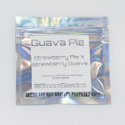 Guava Pie (BloomSeedCo)