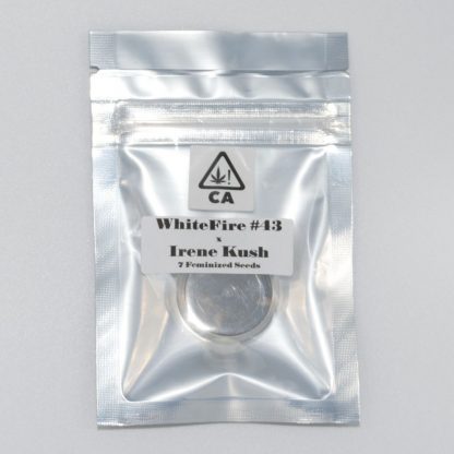 White Fire 43 x Irene Kush (CSI Humboldt)