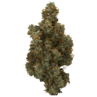 Sativa GMO Bundle (FEMS)