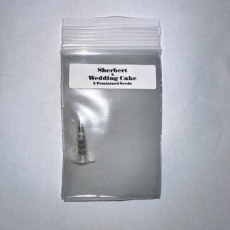 Sherbert x Wedding Cake (CSI Humboldt)