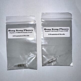 Hong Kong Phooey (CSI Humboldt)