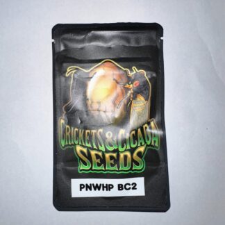 PNWHP BC2 (Crickets and Cicadas)