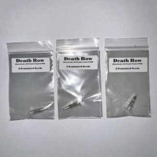 Death Row (CSI Humboldt)