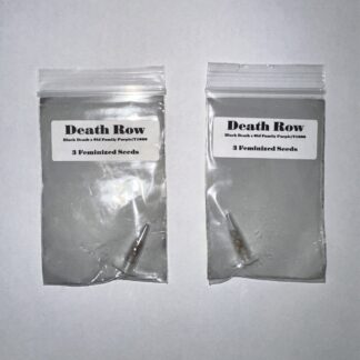 Death Row (CSI Humboldt)