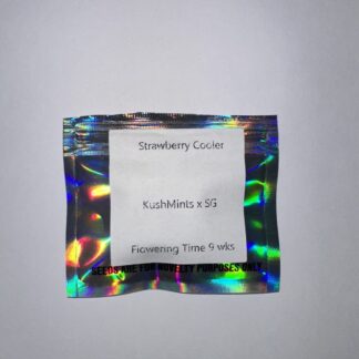 Strawberry Cooler Opened (BloomSeedCo)