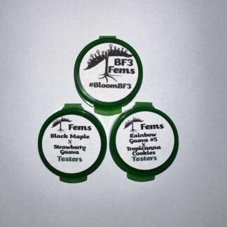 Bloom Fem Bundle (BloomSeedCo)