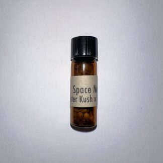 Space Master (Green Source Gardens)